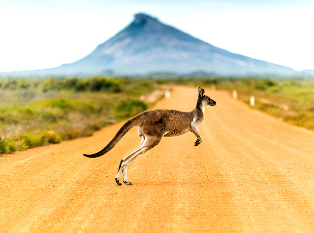 Family Favourite Destinations in Australia
