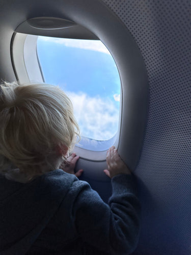 Best Products for Travelling with a Baby or Toddler